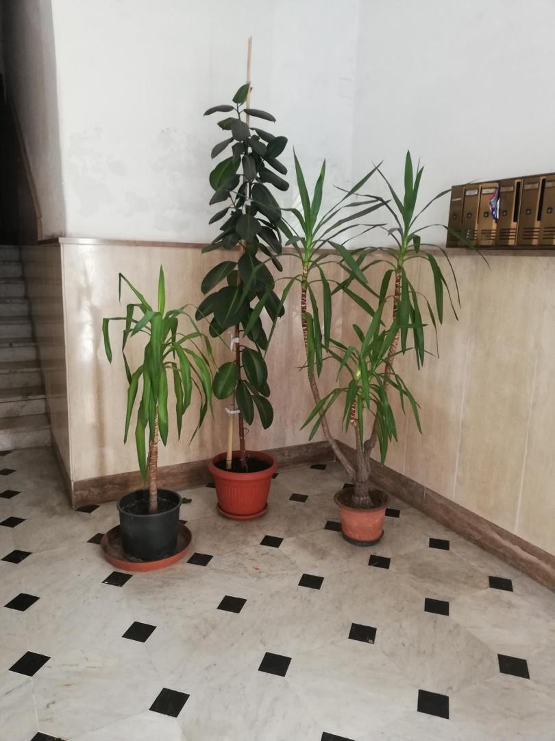 AMPIO APPARTAMENTO IN CENTRO